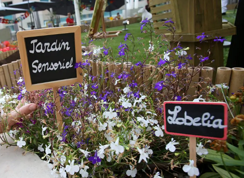 Création d’un jardin thérapeutique au CAMSP de Saint-Michel-sur-Orge (91), en cœur de la ville - Un financement de la Fondation Truffaut